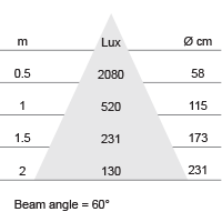 Lux-cone Diagram