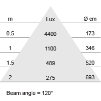 Lux-cone Diagram