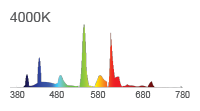 Spectral Power Distribution