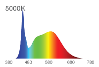 Spectral Power Distribution
